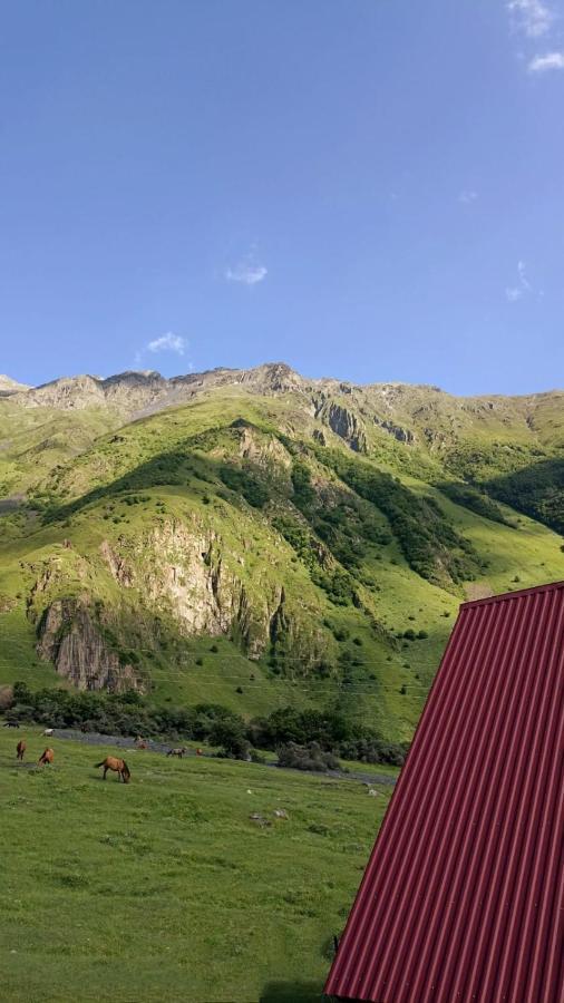 Mountain Flower Cottage Stepancminda Exteriér fotografie