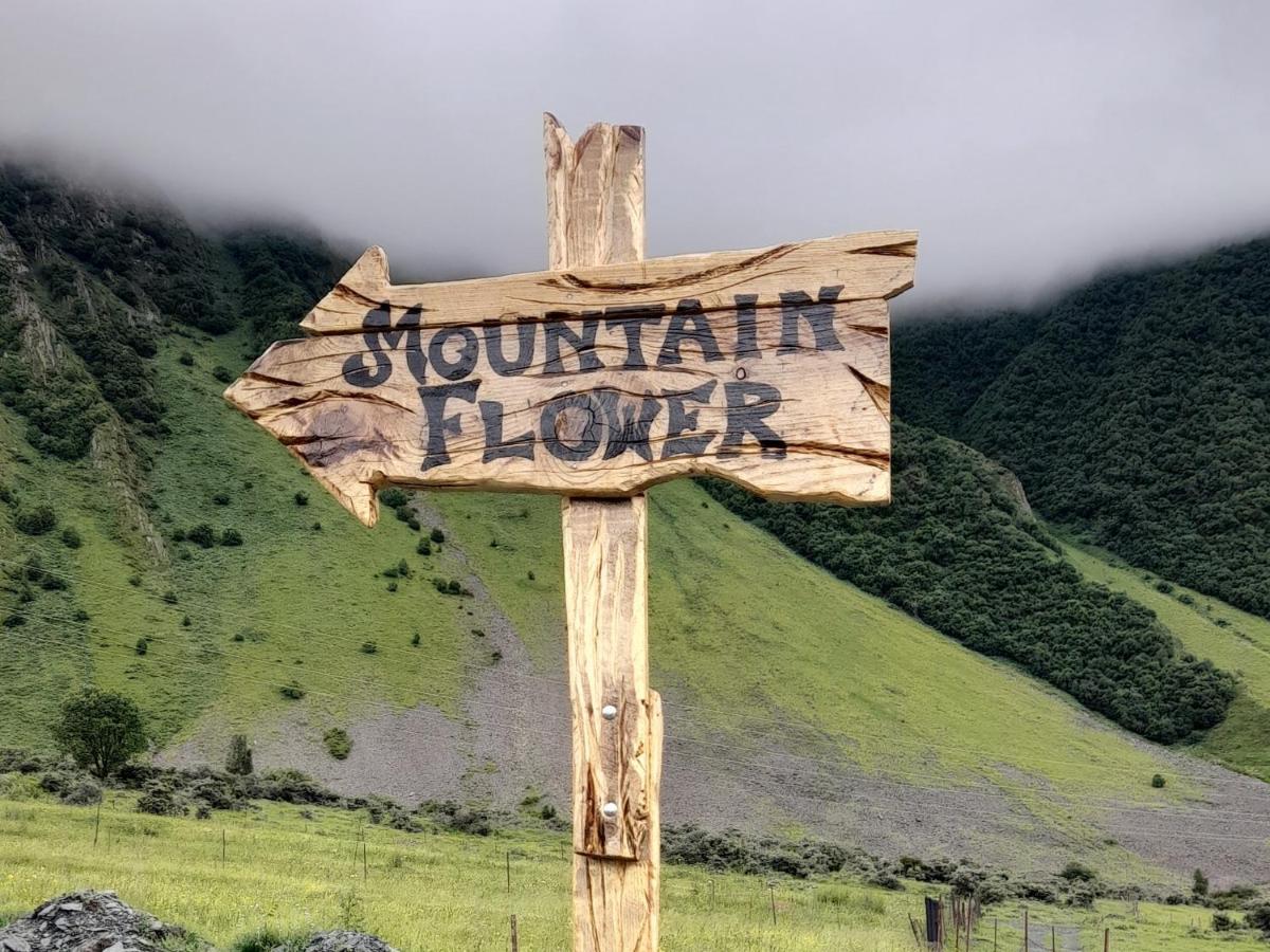 Mountain Flower Cottage Stepancminda Exteriér fotografie