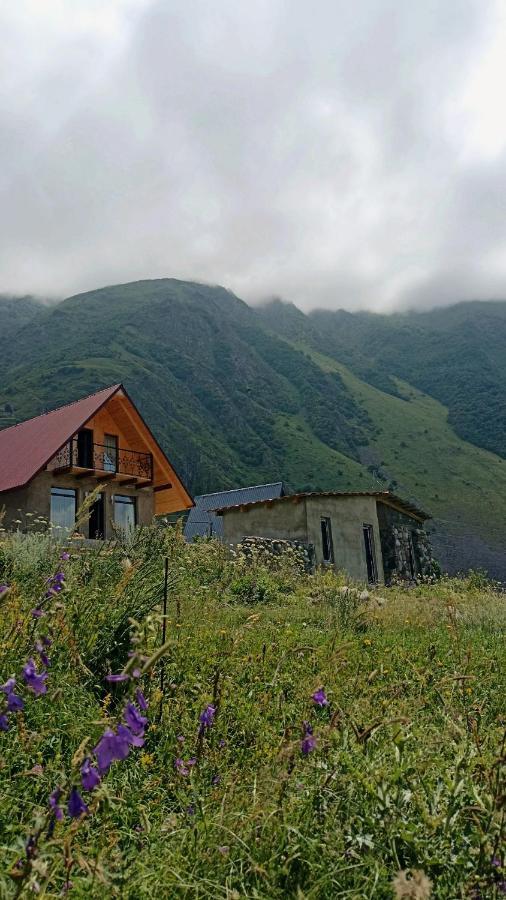 Mountain Flower Cottage Stepancminda Exteriér fotografie